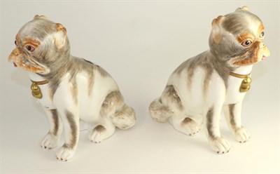 Lot 155 - A pair of Sutherland bone china pug dogs