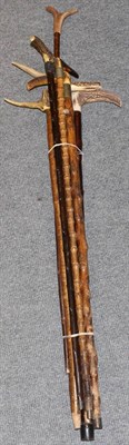 Lot 457 - Eight various antler handled canes and an oak stick stand, 73cm wide