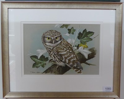 Lot 1060 - Basil Ede (b.1931) Little owl on a branch with foliage, signed and dated 1976, gouache and...