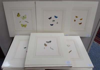 Lot 1062 - British School (19th century) A collection of 26 studies of butterflies with calligraphic text...