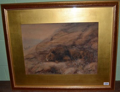 Lot 1096 - Cuthbert Edward Swan (1870-1931) Crouching lion, signed, with inscribed label verso,...