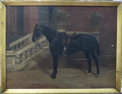 Lot 1107 - William Josiah Redworth (1873-1947) ";Sam"; Portrait of a black horse, signed and dated July...