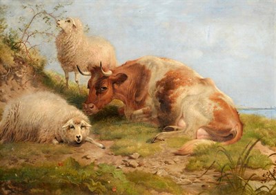 Lot 1126 - Thomas George Cooper (1836-1901) A cow and sheep resting in a lakeland landscape, signed, oil...