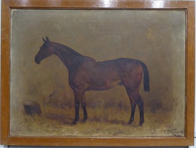 Lot 1162 - George Wright (1860-1942) Bay horse standing in a stable, signed, oil on canvas, 39.5cm by 55cm