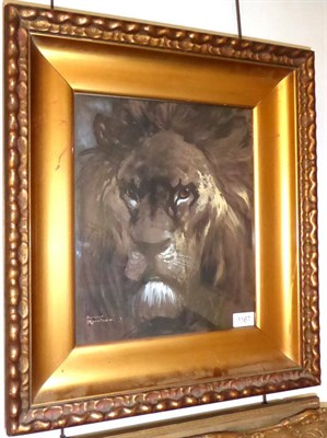 Lot 1167 - Harry Rountree (1878-1950) Study of a lion head, signed and dated (19)15, watercolour and...