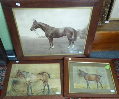 Lot 1218 - British School (early 20th century) ";Kathleen"; - Bay horse standing in a stable, inscribed,...