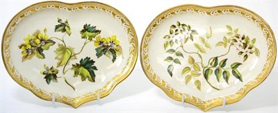 Lot 42 - A pair of Derby porcelain kidney shaped dishes, circa 1795, painted with botanical specimens...