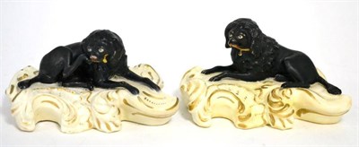 Lot 43 - A pair of Derby style figures of black poodles, circa 1830, recumbent on scroll moulded bases, 11cm