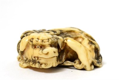 Lot 450 - A Japanese ivory netsuke, Meiji period, as a recumbent lion dog, 4cm long