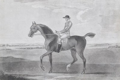 Lot 1010 - ~ Thomas Burford (British, c.1710-c.1779) ";Aaron Lamego Esqr's Chestnut Horse Little Driver";...