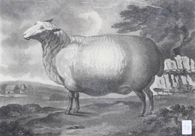 Lot 1011 - ~ Francis Chesham (British, 1749-1806) ";The Prize Sheep";, Aquatint, image 170mm by 245mm, in...