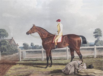 Lot 1024 - ~ John F Herring (British, 1795-1865) ";Reveller, The Winner of the Great St Leger at Doncaster...