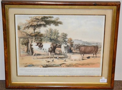 Lot 1037 - ~ G B Newmarsh (British, 19th century) ";Prize Cattle Shewn at the Birmingham and Midland...