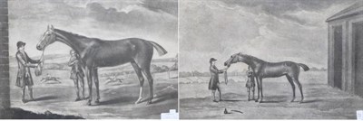 Lot 1050 - ~ Francis Sartorius (British, 1734-1804) ";Gimcrack";, mezzotint and etching together with a...