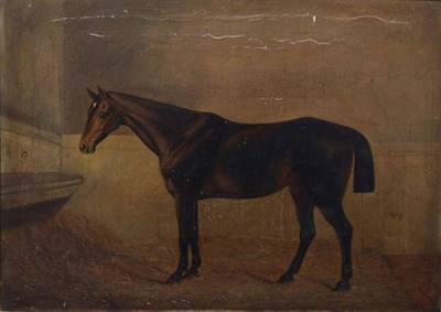 Lot 1140 - George Hepper (1868) ";White nose"; - Bay horse standing in a stable signed and dated 1857, oil...