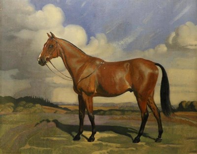 Lot 1226 - K M Pearson (20th century) A bay horse in an open landscape, signed, oil on canvas, 59.5cm by 75cm