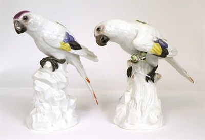 Lot 42 - ^ A Pair of Meissen Porcelain Figures of Birds, early 20th century, naturalistically modelled...