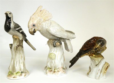 Lot 43 - ^ A Meissen Porcelain Figure of a Parrot, early 20th century, outside decorated and...