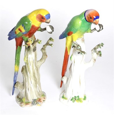 Lot 44 - ^ A Matched Pair of Meissen Porcelain Figures of Parakeets, circa 1900, each perched on a tree...