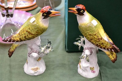 Lot 248 - A Pair of Meissen Porcelain Figures of Woodpeckers, 20th century, naturalistically modelled and...