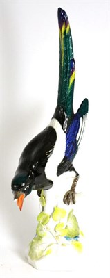 Lot 250 - A Meissen Porcelain Figure of a Magpie, 20th century, naturalistically modelled and painted perched