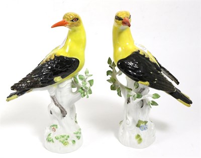 Lot 251 - A Pair of Meissen Porcelain Figures of Golden Orioles, 20th century, naturalistically painted...