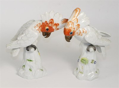 Lot 252 - A Pair of Meissen Porcelain Figures of Cockatoos, 20th century, naturalistically modelled and...