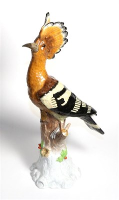 Lot 253 - A Carl Thieme, Potschappel Figure of a Hoopoe, 20th century, naturalistically modelled and...