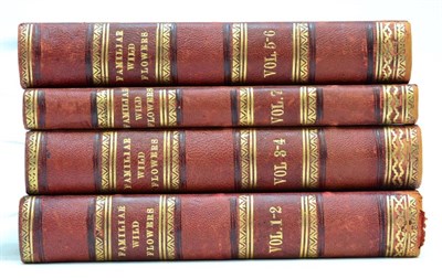 Lot 355 - Hulme (F. Edward), Familiar Wild Flowers, nd., Cassell, in four leather bound volumes