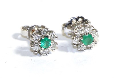 Lot 665 - A Pair of 18 Carat White Gold Emerald and Diamond Cluster Earrings, a round cut emerald within...