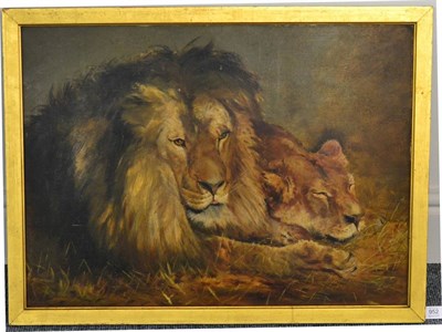 Lot 952 - After Geza Vastagh (1866-1919) Hungarian  Lion and lioness resting Oil on canvas, 53cm by 72.5cm