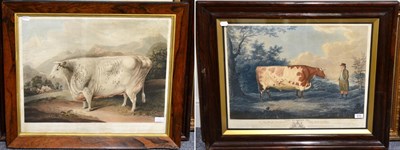 Lot 976 - J Whessell after John Boultbee  ";The Durham Ox";  Stipple engraving with colouring, together...