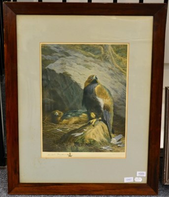 Lot 1000 - After Archibald Thorburn (1860-1935)  Eagles' Nest  Signed by the artist in ink, a colour...