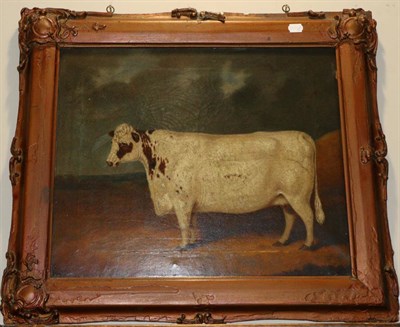 Lot 1007 - British School (19th century) Portrait of a prize heifer standing in a landscape Inscribed ";Whaley