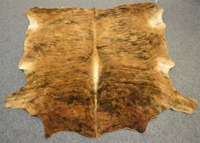 Lot 1050 - Taxidermy: Nguni Cow Hide (South Africa), modern, AA Grade, excellent quality, Nguni skin floor rug