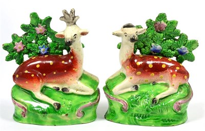 Lot 44 - A Pair of Staffordshire Pearlware Figures of a Stag and Doe, early 19th century, each recumbent...