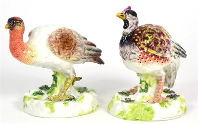 Lot 137 - A Pair of Continental Chelsea Style Porcelain Figures of Birds, circa 1900, naturalistically...