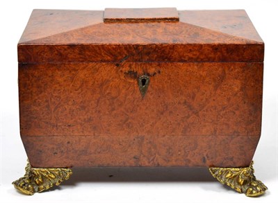 Lot 528 - A Regency Brass Mounted Bird's Eye Maple Tea Caddy, of sarcophagus form with loop handles and...