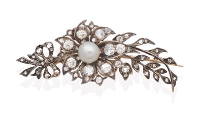 Lot 606 - A Pearl and Diamond Spray Brooch, a flower head with a central pearl, to old cut diamond set...