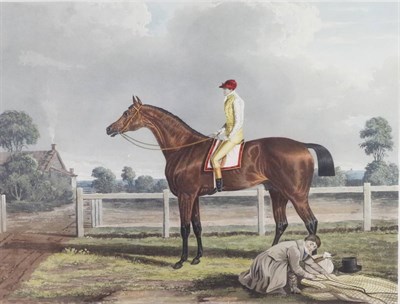 Lot 1005 - John F Herring (British, 1795-1865) ";Reveller, The Winner of the Great St Leger at Doncaster...