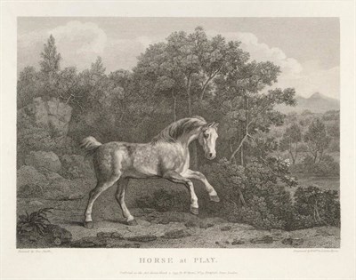 Lot 1037 - George Stubbs (British, 1724-1806) "Horse at Play", engraving by William &amp; Lititia...