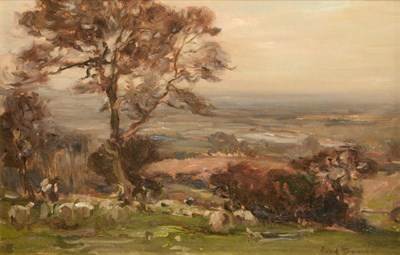 Lot 1043 - Owen Bowen ROI, PRCamA (1873-1967) Sheep in an Autumnal landscape Signed, oil on canvas, 28.5cm...