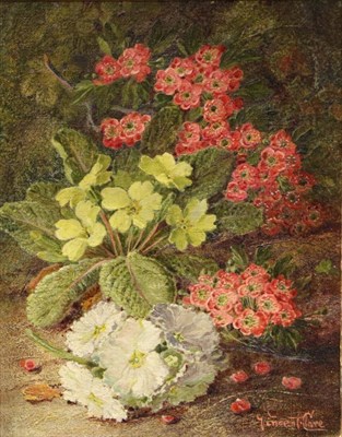 Lot 1085 - Vincent Clare (1855-1930) Still life of Primroses on a mossy bank  Signed, oil on canvas, 22cm...