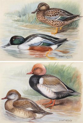 Lot 1094 - Lillian Medland (1880-1955) ";Red Crested Pochard"; ";Shoveller"; Both signed, inscribed on the...