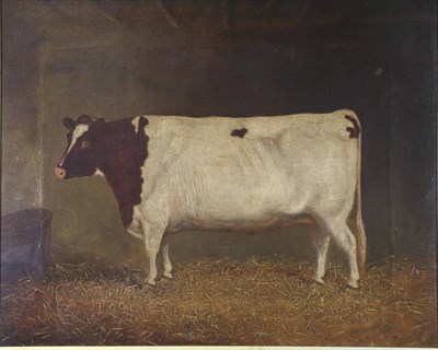 Lot 1157 - English School (19th century)  Portrait of a prize cow standing in a barn. Oil on canvas, 49.5cm by