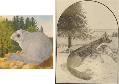 Lot 1194 - Ralph Hedley (b.1948) British ";Pine Marten"; Artist proof, etching on paper, signed and dated...