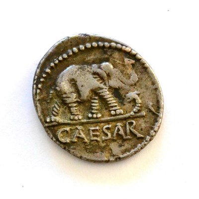 Lot 55 - Roman Imperial: Julius Caesar Silver Denarius: obv. beaded circle enclosing elephant walking right