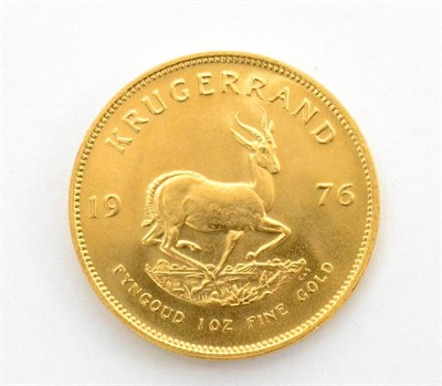 Lot 141 - ~South Africa Krugerrand 1976, 1oz fine gold, UNC