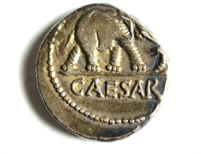 Lot 11 - Roman Imperial: Julius Caesar Silver Denarius: obv. beaded circle around elephant trampling on...