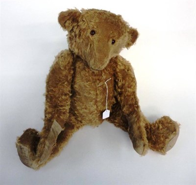 Lot 1020 - Large Brown Plush Jointed Teddy Bear, with stitched nose, cotton paw pads and hump to back, 62cm